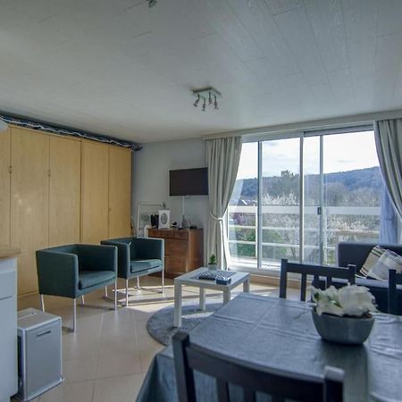 Studio Au Domaine Le Vieux Moulin Apartment Han-sur-Lesse Luaran gambar